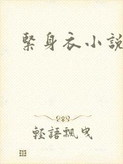 紧身衣小说
