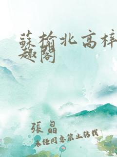 苏榆北高梓淇笔趣阁