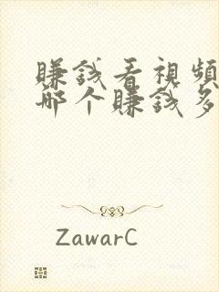 赚钱看视频软件哪个赚钱多又快