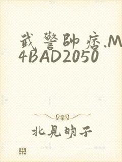 武警帅痞.MP4BAD2050