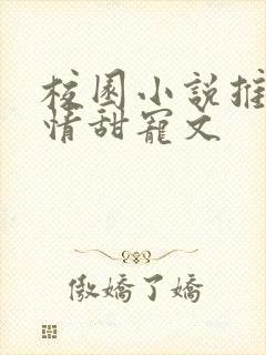 校园小说推荐言情甜宠文