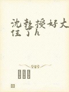 沈教授好大含不住了h