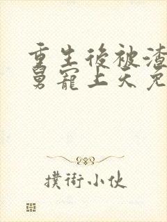 重生后被渣男舅舅宠上天免费全集短剧