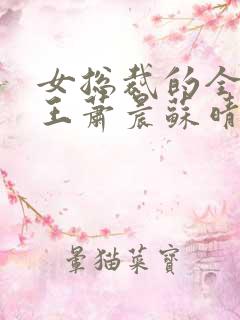 女总裁的全部兵王萧晨苏晴