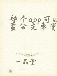 哪个app可以查公交车实时位置