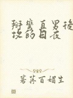 掰弯直男后被反攻的日夜