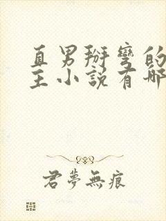 直男掰弯的双男主小说有哪些