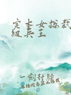 完本女总裁的超级兵王