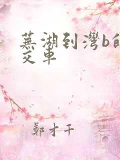 芜湖到湾b的公交车