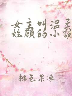 女主叫温柔男主姓顾的小说