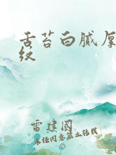 舌苔白腻厚有裂纹