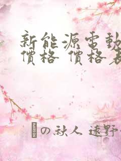 新能源电动汽车价格 价格表