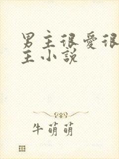 男主很爱很爱女主小说