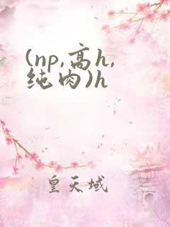 (np,高h,纯肉)h