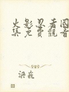 火影忍者国语全集免费观看