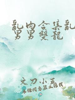 乱肉合集乱高h男男双龙