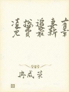 凌总追妻有点甜免费最新章节