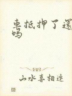 车抵押了还能卖吗