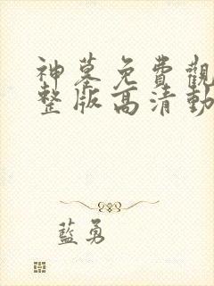 神墓免费观看完整版高清动漫在线