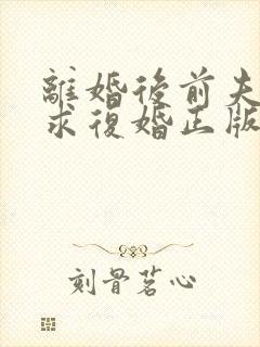 离婚后前夫哭着求复婚正版