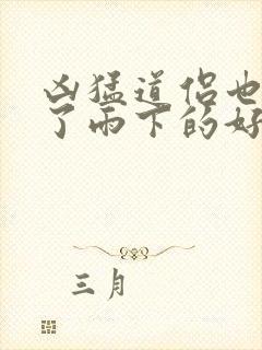 凶猛道侣也重生了雨下的好大小说