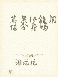 苹果14能用微信分身吗