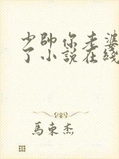 少帅你老婆又跑了小说在线收听