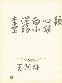 李泽白心颖黄贵云的小说