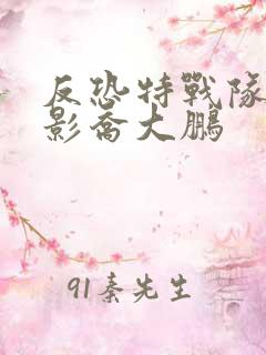 反恐特战队之猎影乔大鹏