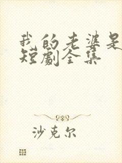 我的老婆是特工短剧全集