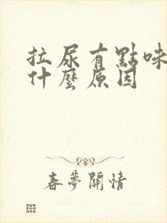 拉尿有点味道是什么原因