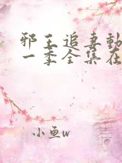 邪王追妻动漫第一季全集在线观看免费