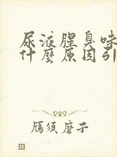 尿液腥臭味很重什么原因引起的