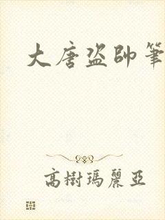 大唐盗帅笔趣阁