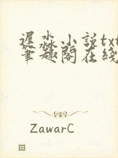 迟淼小说txt笔趣阁在线阅读