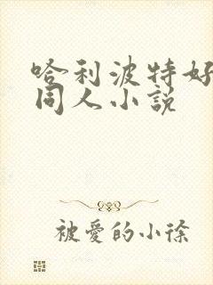 哈利波特好看的同人小说