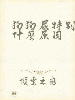 狗狗尿特别黄是什么原因