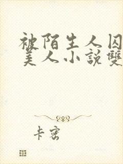 被陌生人囚禁的美人小说双男主