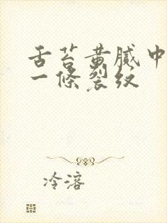 舌苔黄腻中间有一条裂纹