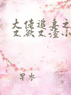 大佬追妻之夫人又欲又渣小说