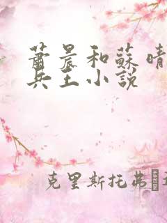 萧晨和苏晴全能兵王小说