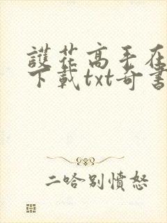 护花高手在都市下载txt奇书网