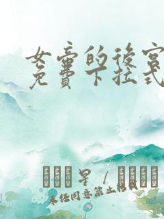 女帝的后宫漫画免费下拉式