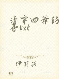 清穿四爷的老福晋txt