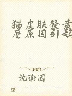 猫皮肤发黄是什么原因引起