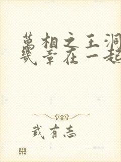 万相之王洞房第几章在一起