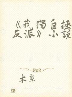 《我独自拯救女反派》小说