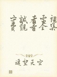 守诚者电视剧免费观看全集在线播放