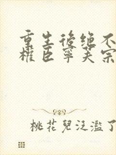 重生后绝不嫁给权臣宁芙宗肆在线全文阅读