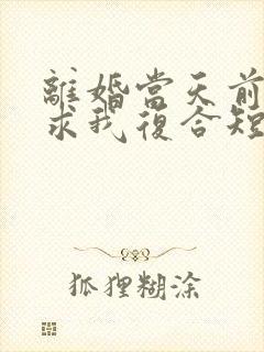 离婚当天前夫跪求我复合短剧